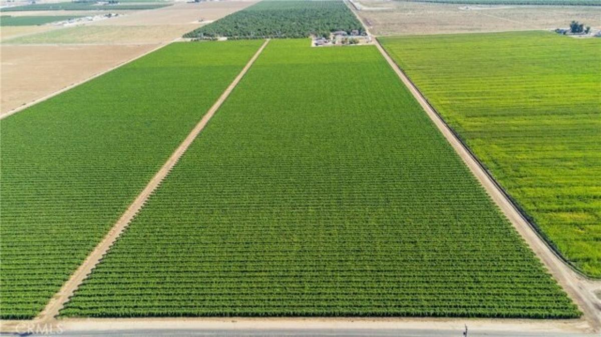 Picture of Residential Land For Sale in Shafter, California, United States