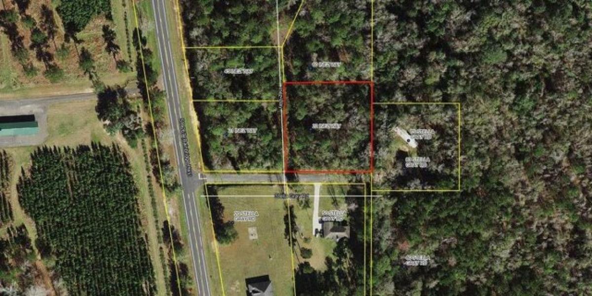 Picture of Residential Land For Sale in Quincy, Florida, United States