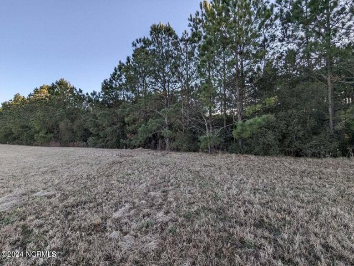 Picture of Residential Land For Sale in Hertford, North Carolina, United States