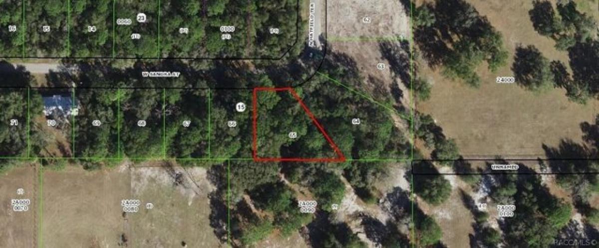 Picture of Residential Land For Sale in Crystal River, Florida, United States