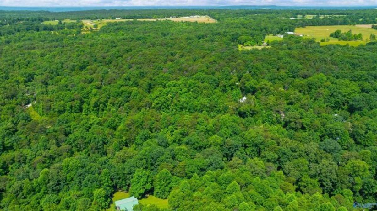 Picture of Residential Land For Sale in Mentone, Alabama, United States