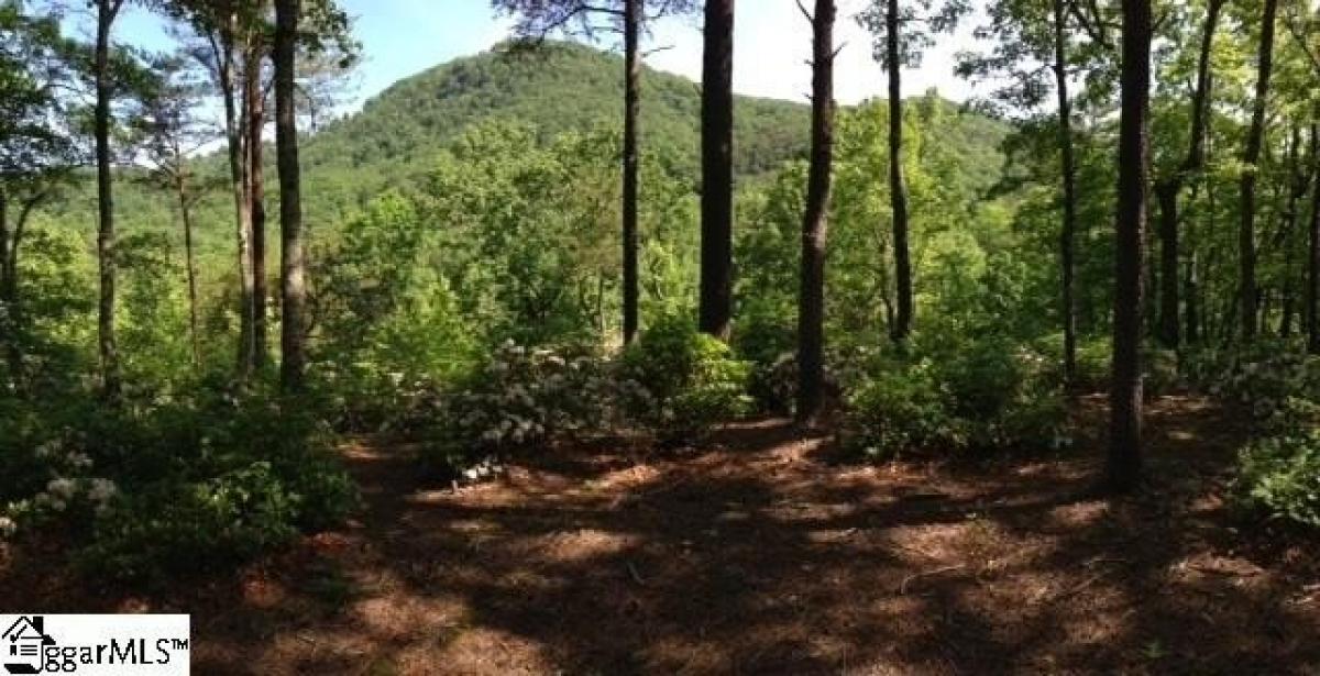 Picture of Residential Land For Sale in Travelers Rest, South Carolina, United States