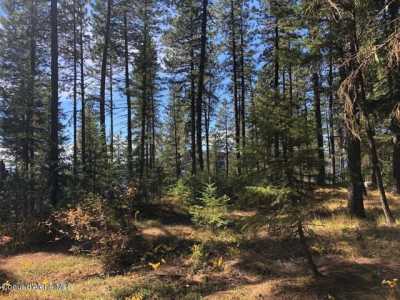 Residential Land For Sale in Coolin, Idaho