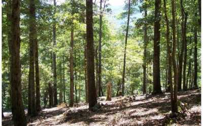 Residential Land For Sale in Hayesville, North Carolina