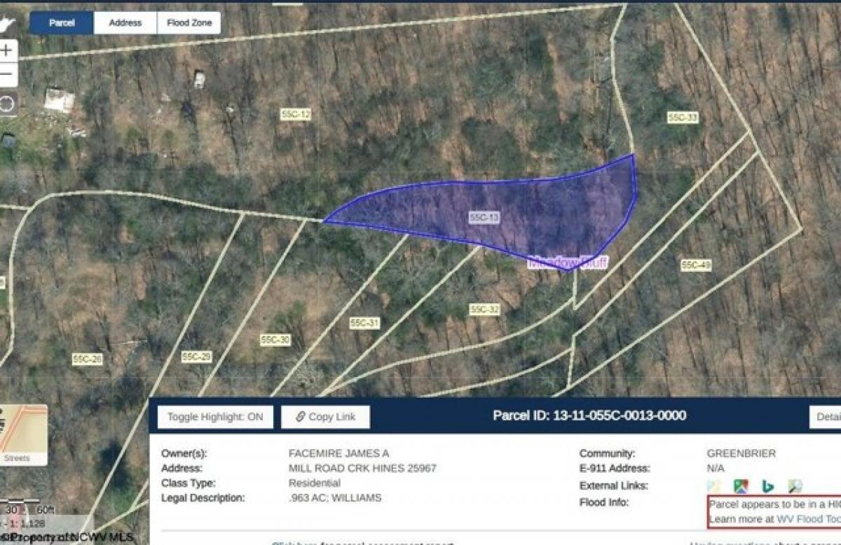 Picture of Residential Land For Rent in Charmco, West Virginia, United States