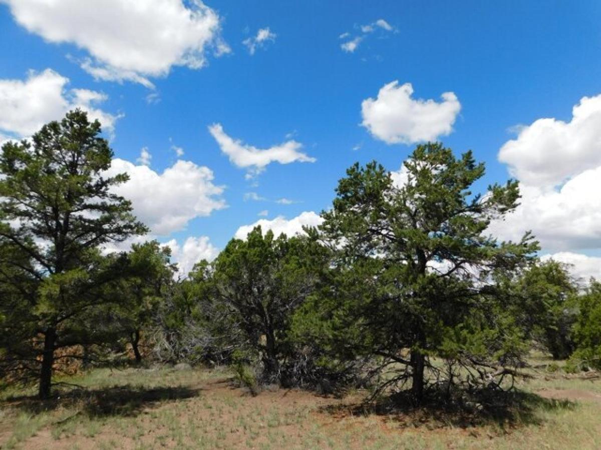 Picture of Residential Land For Sale in Quemado, New Mexico, United States