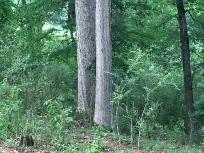 Residential Land For Sale in Walhalla, South Carolina