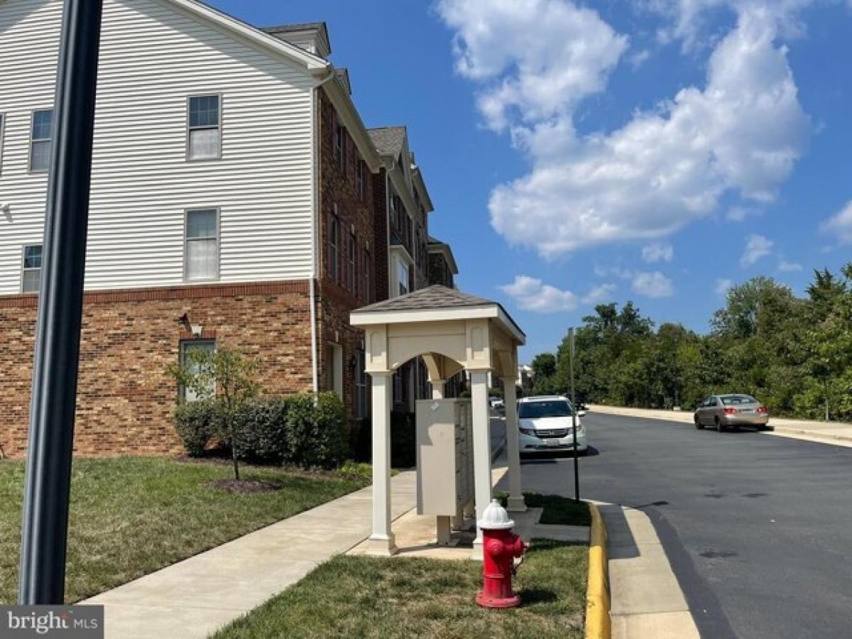 Picture of Home For Rent in Ashburn, Virginia, United States