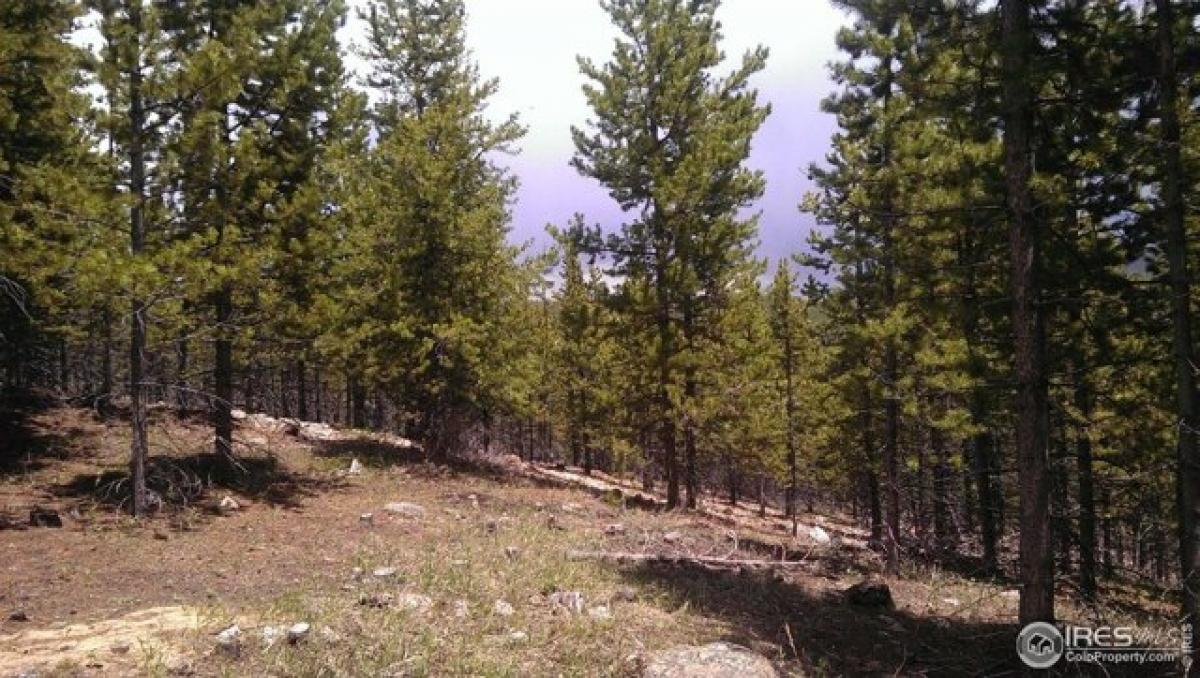 Picture of Residential Land For Sale in Red Feather Lakes, Colorado, United States