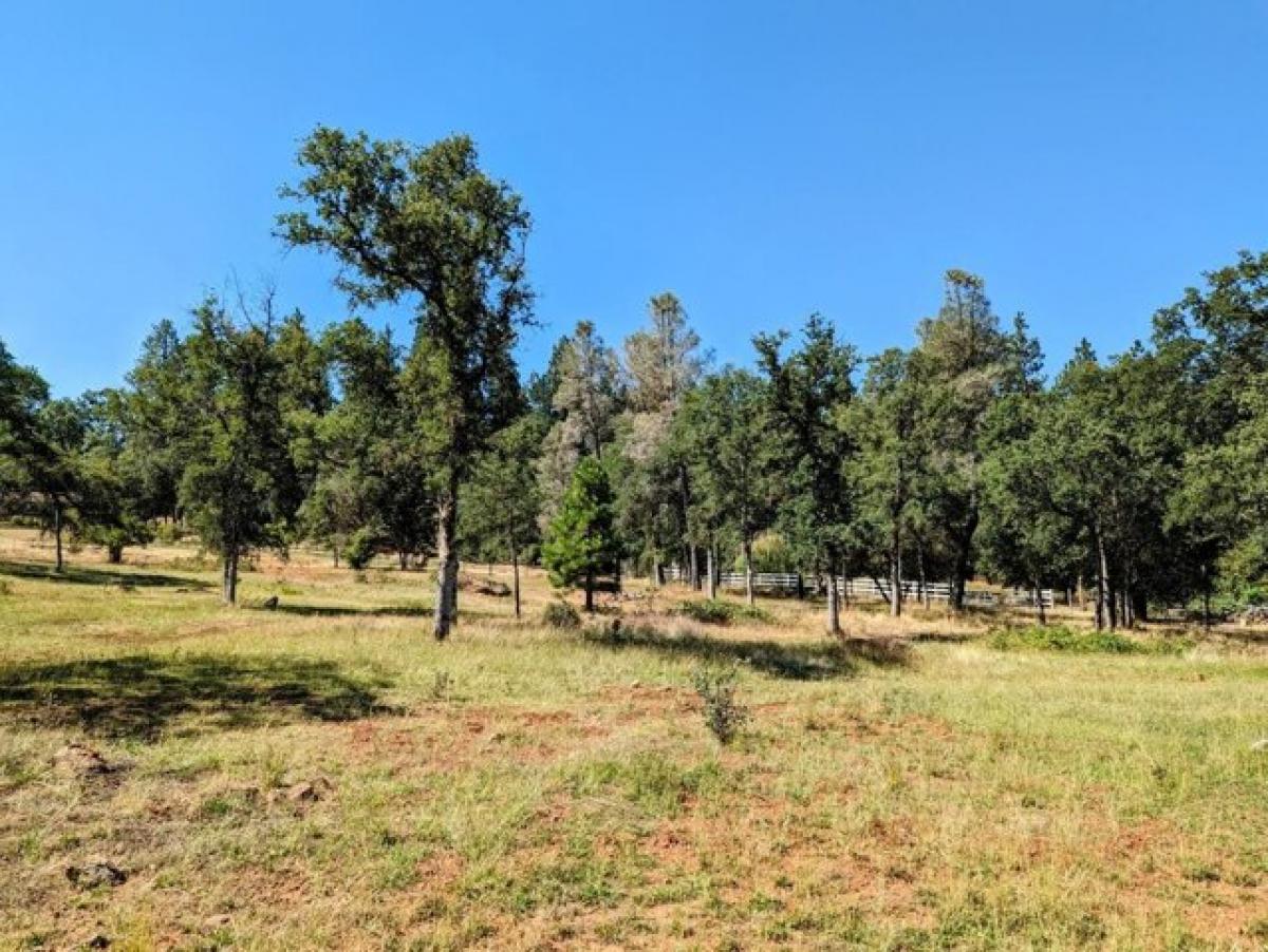 Picture of Residential Land For Sale in Rough and Ready, California, United States