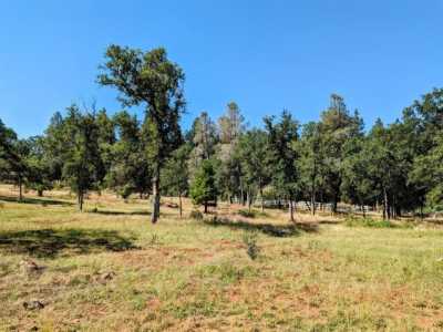 Residential Land For Sale in Rough and Ready, California