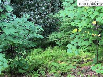 Residential Land For Sale in Blowing Rock, North Carolina