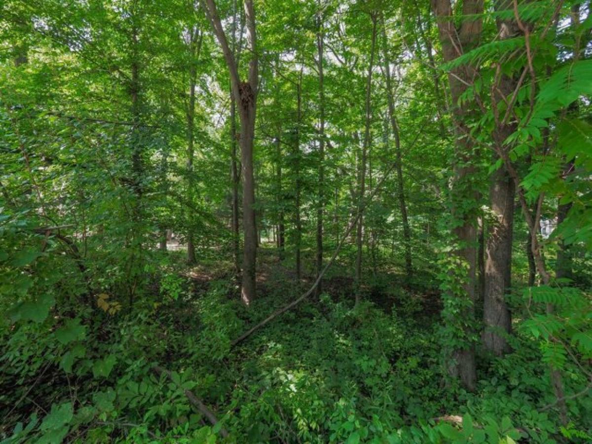 Picture of Residential Land For Sale in Plainwell, Michigan, United States