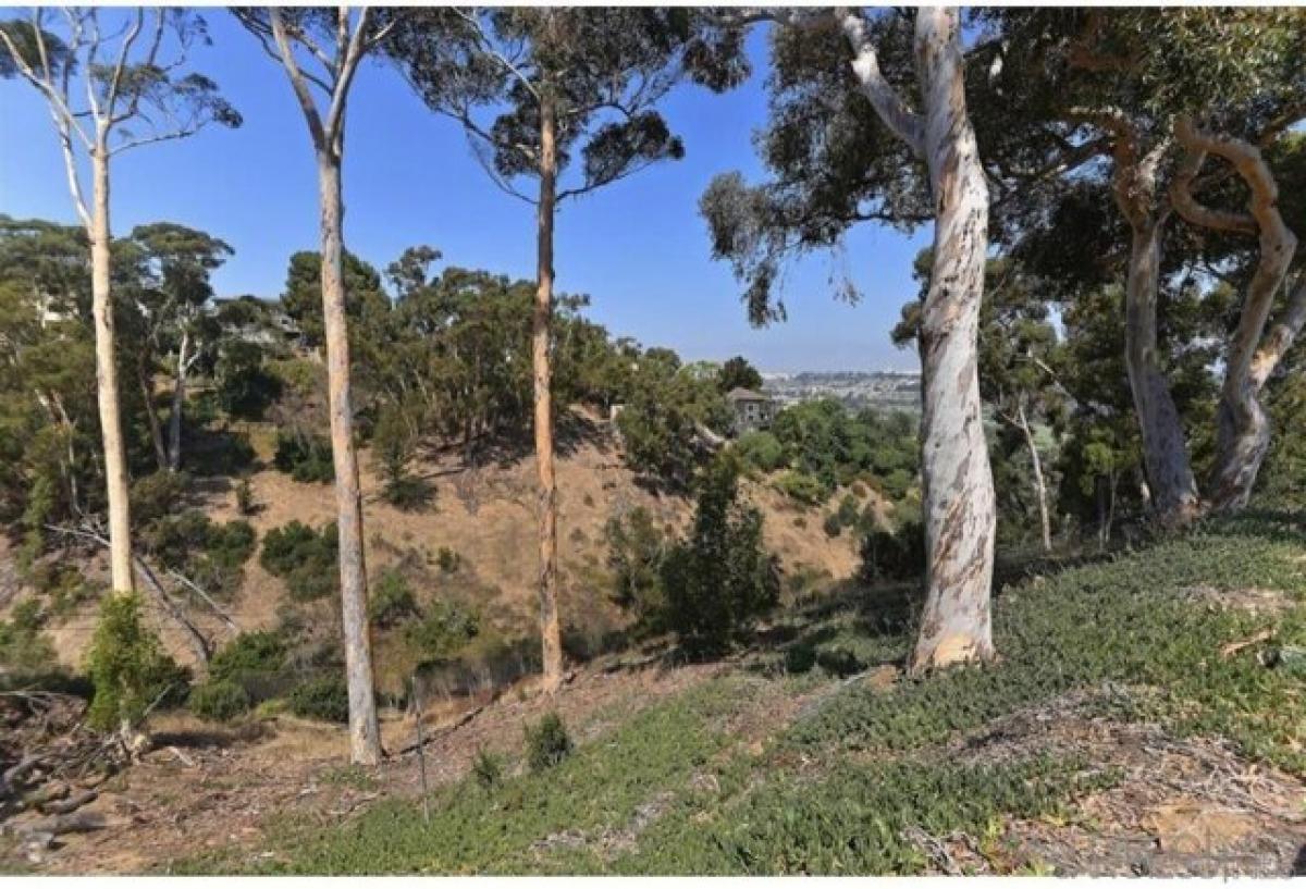 Picture of Residential Land For Sale in San Diego, California, United States