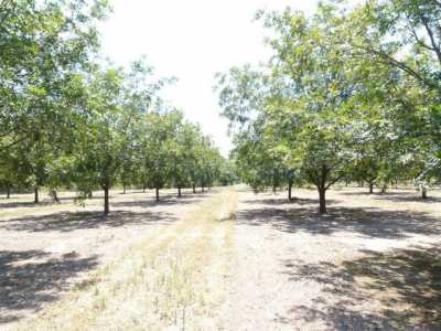 Residential Land For Sale in San Saba, Texas