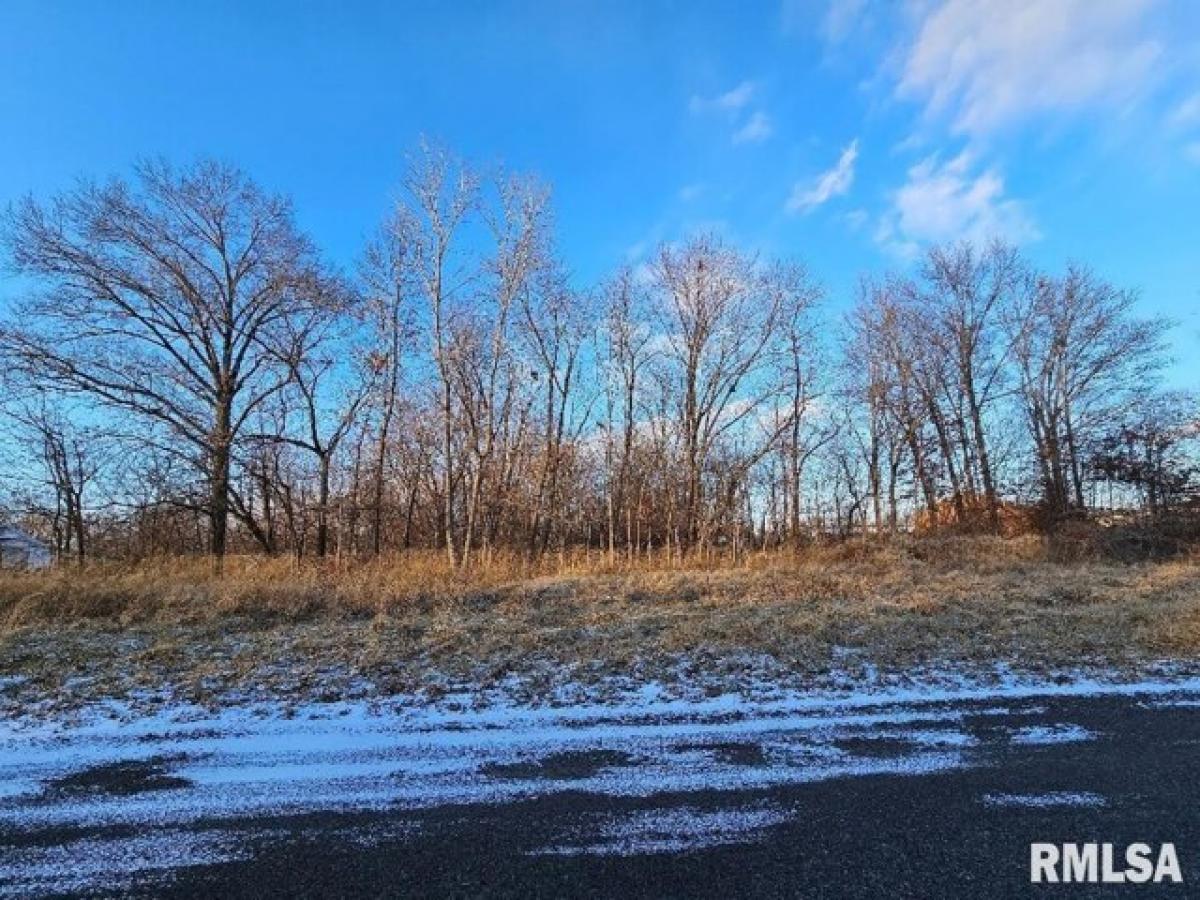 Picture of Residential Land For Rent in Salem, Illinois, United States