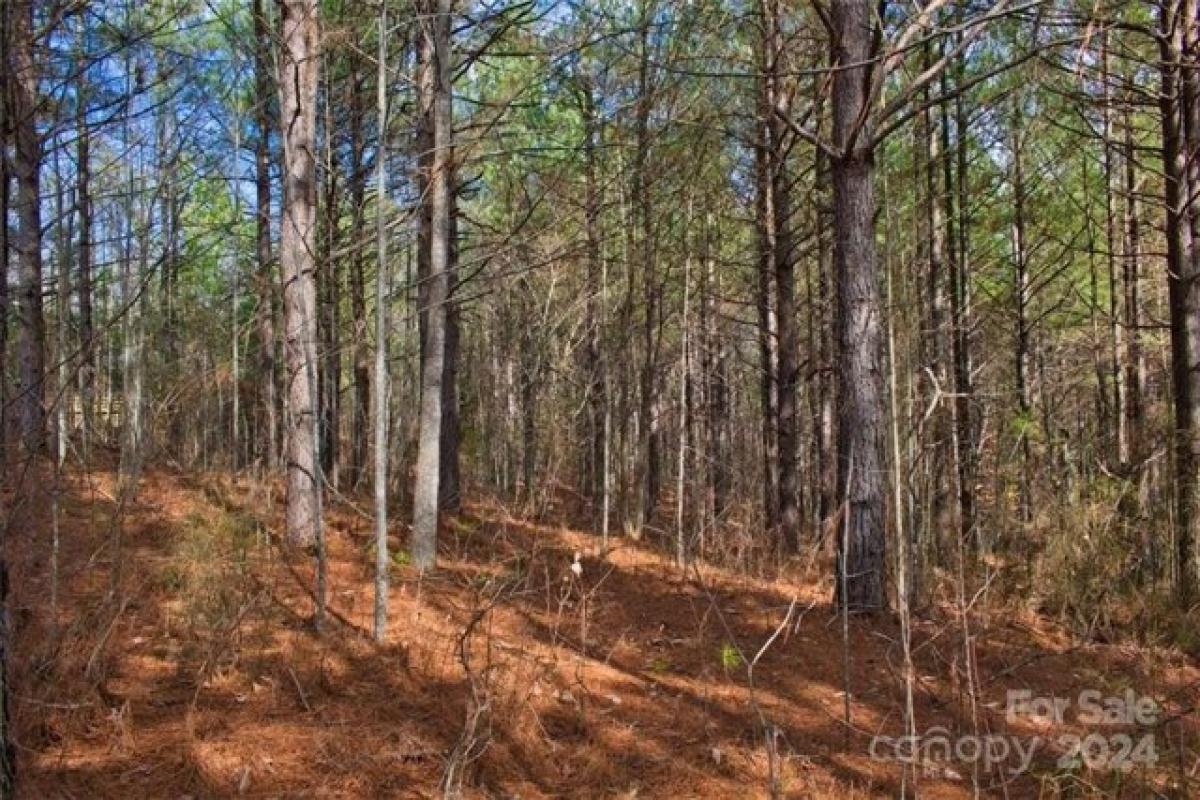 Picture of Residential Land For Sale in Rutherfordton, North Carolina, United States