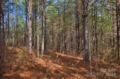 Residential Land For Sale in Rutherfordton, North Carolina