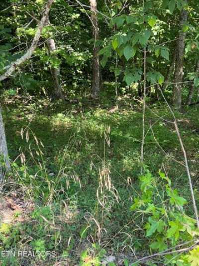 Residential Land For Sale in New Tazewell, Tennessee