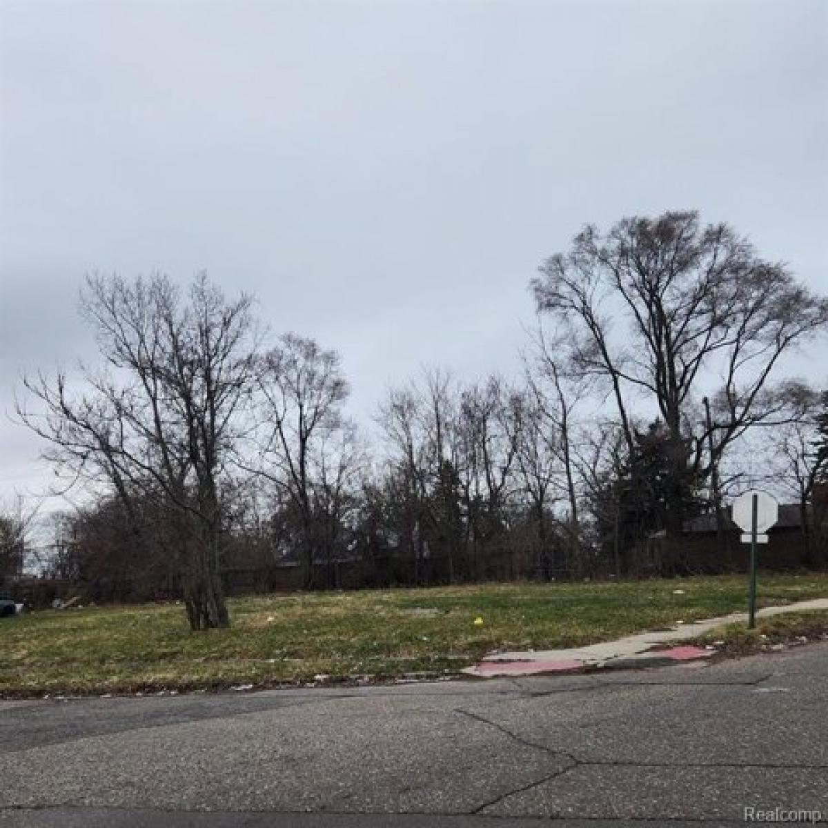 Picture of Residential Land For Sale in Hamtramck, Michigan, United States