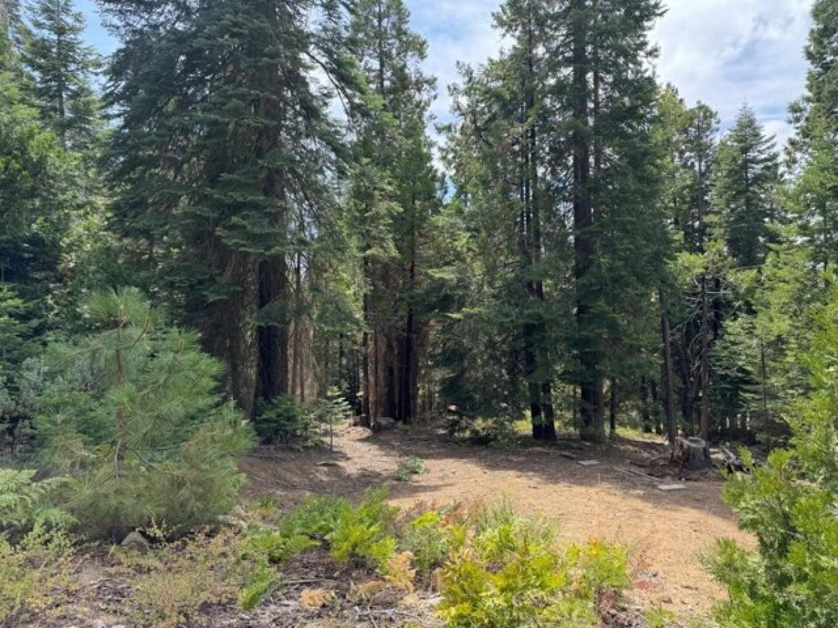 Picture of Residential Land For Sale in Shaver Lake, California, United States