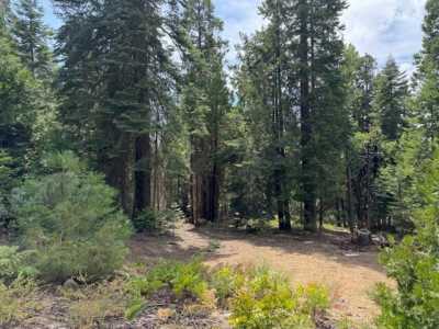 Residential Land For Sale in Shaver Lake, California