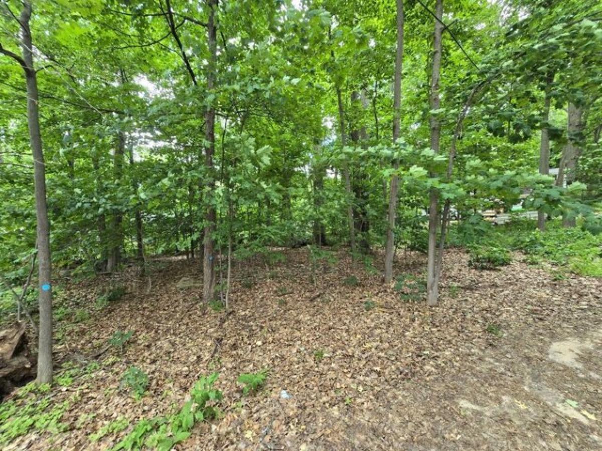 Picture of Residential Land For Sale in Gaylord, Michigan, United States