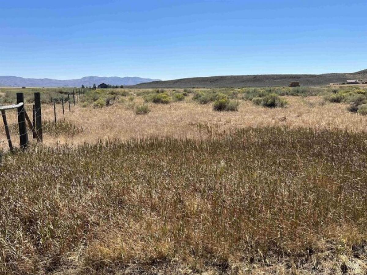 Picture of Residential Land For Sale in Fairfield, Idaho, United States