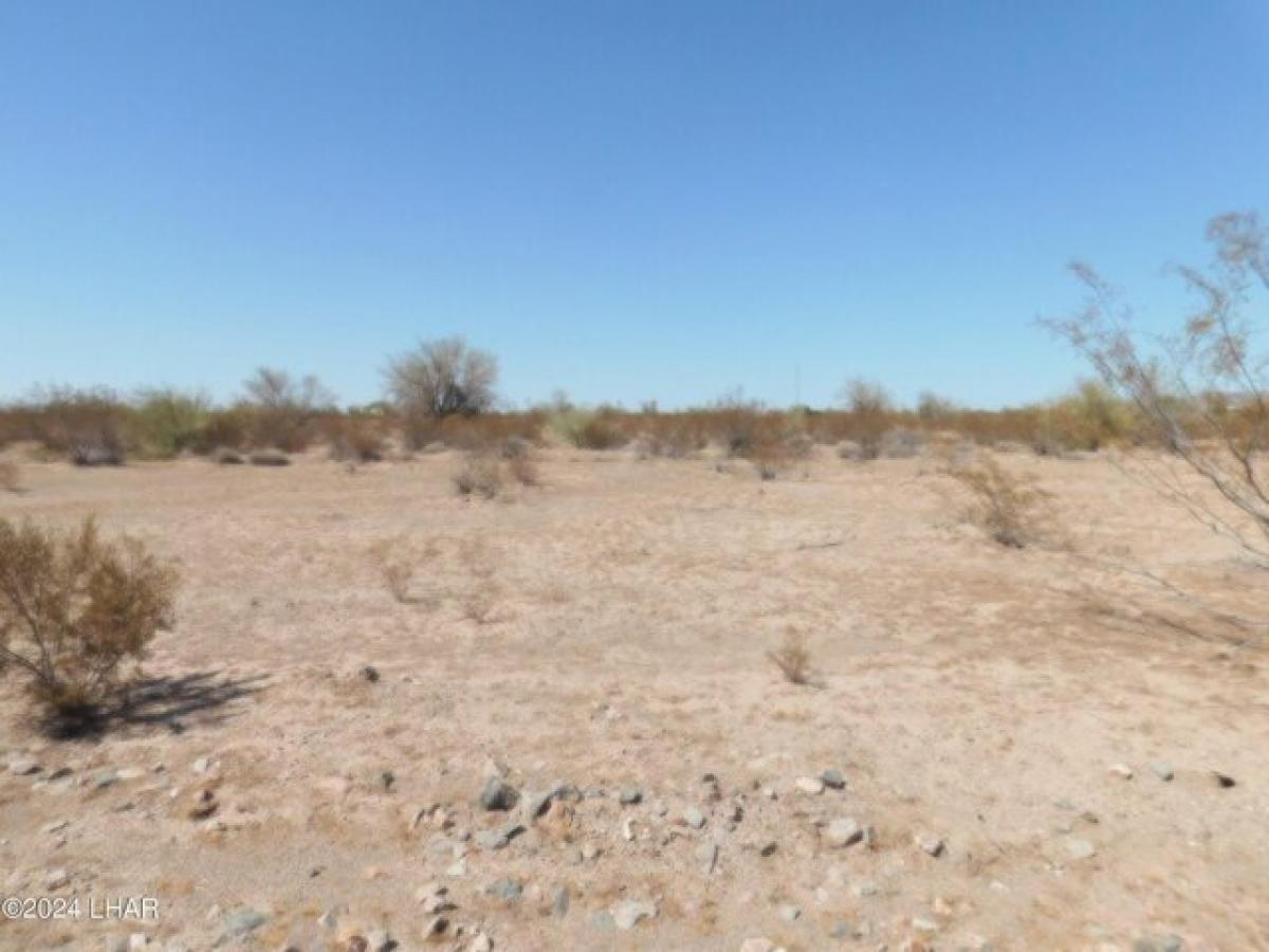 Picture of Residential Land For Sale in Salome, Arizona, United States