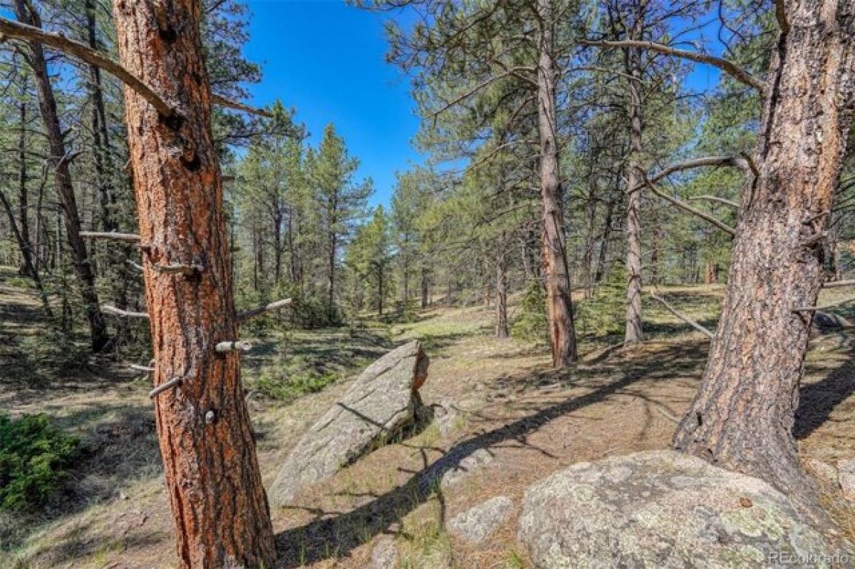 Picture of Residential Land For Sale in Florissant, Colorado, United States