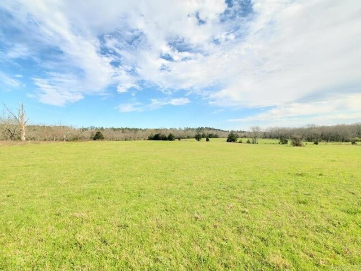 Picture of Residential Land For Sale in Pencil Bluff, Arkansas, United States