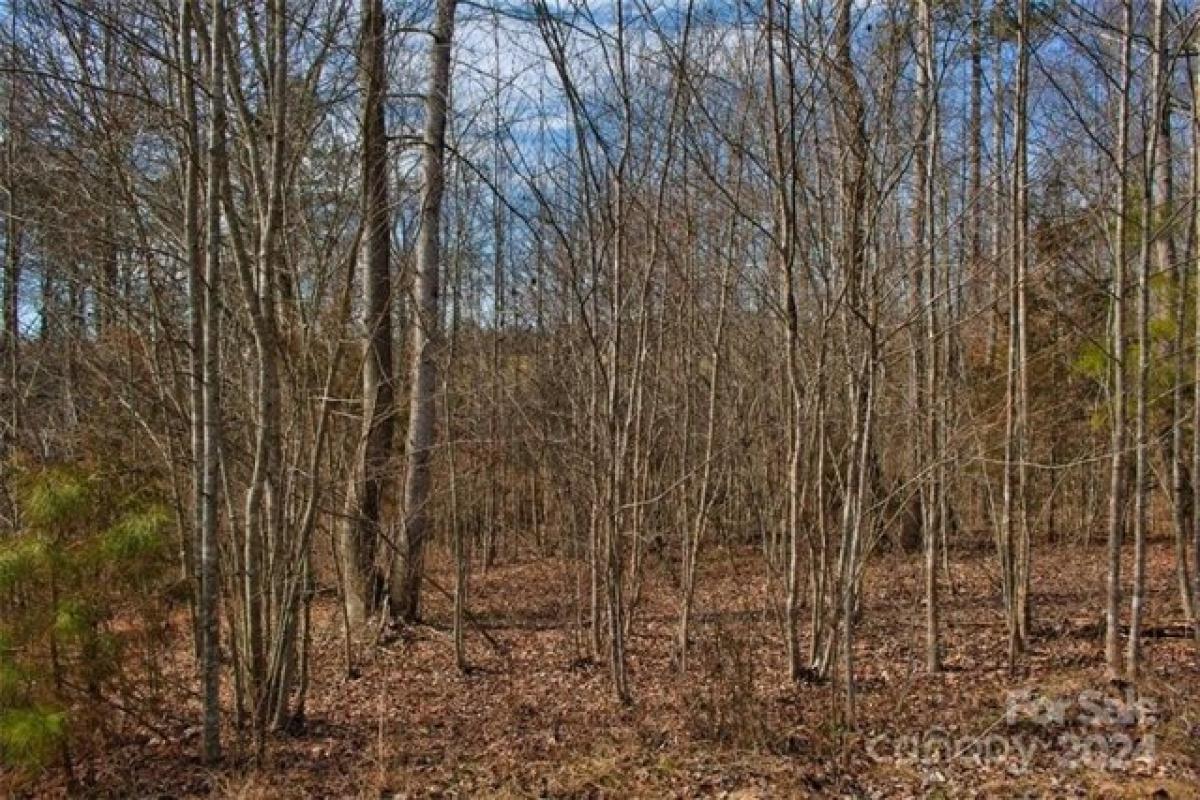 Picture of Residential Land For Sale in Rutherfordton, North Carolina, United States