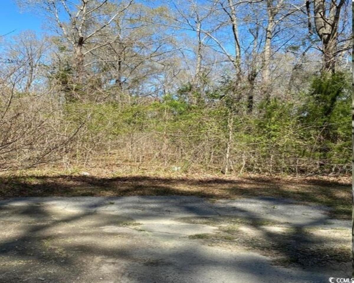 Picture of Residential Land For Sale in Andrews, South Carolina, United States