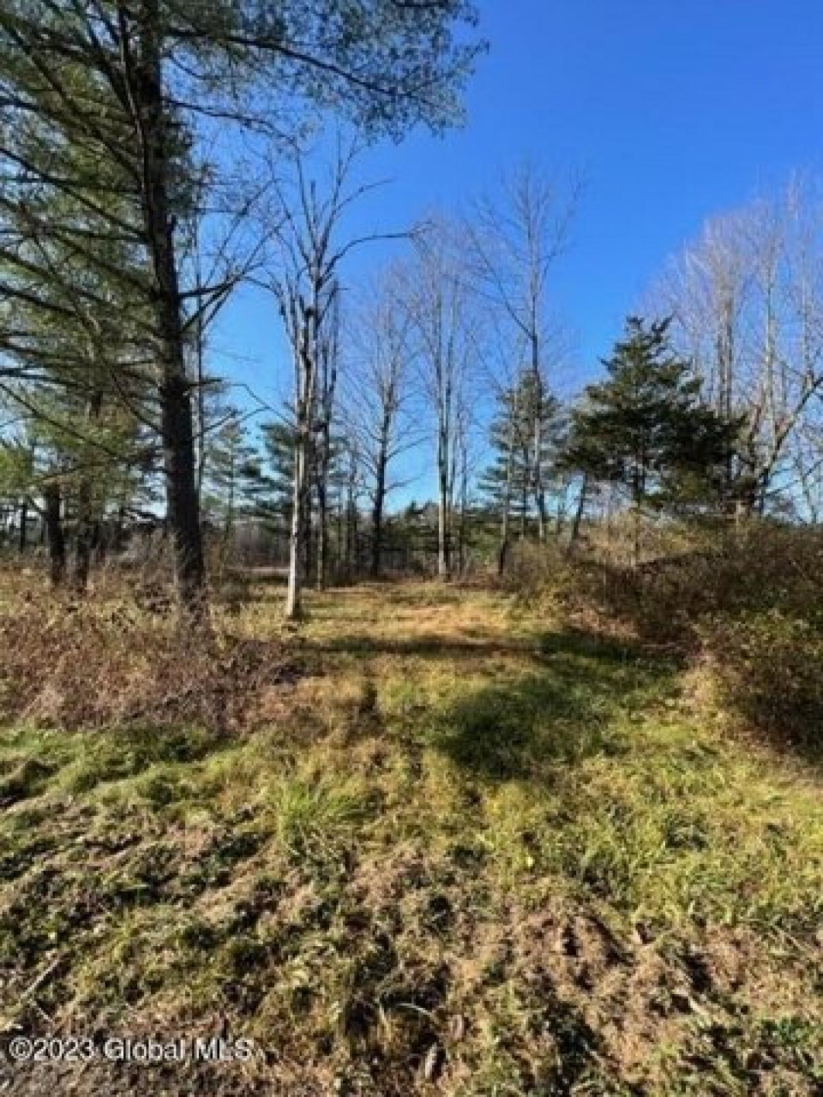 Picture of Residential Land For Sale in Whitehall, New York, United States