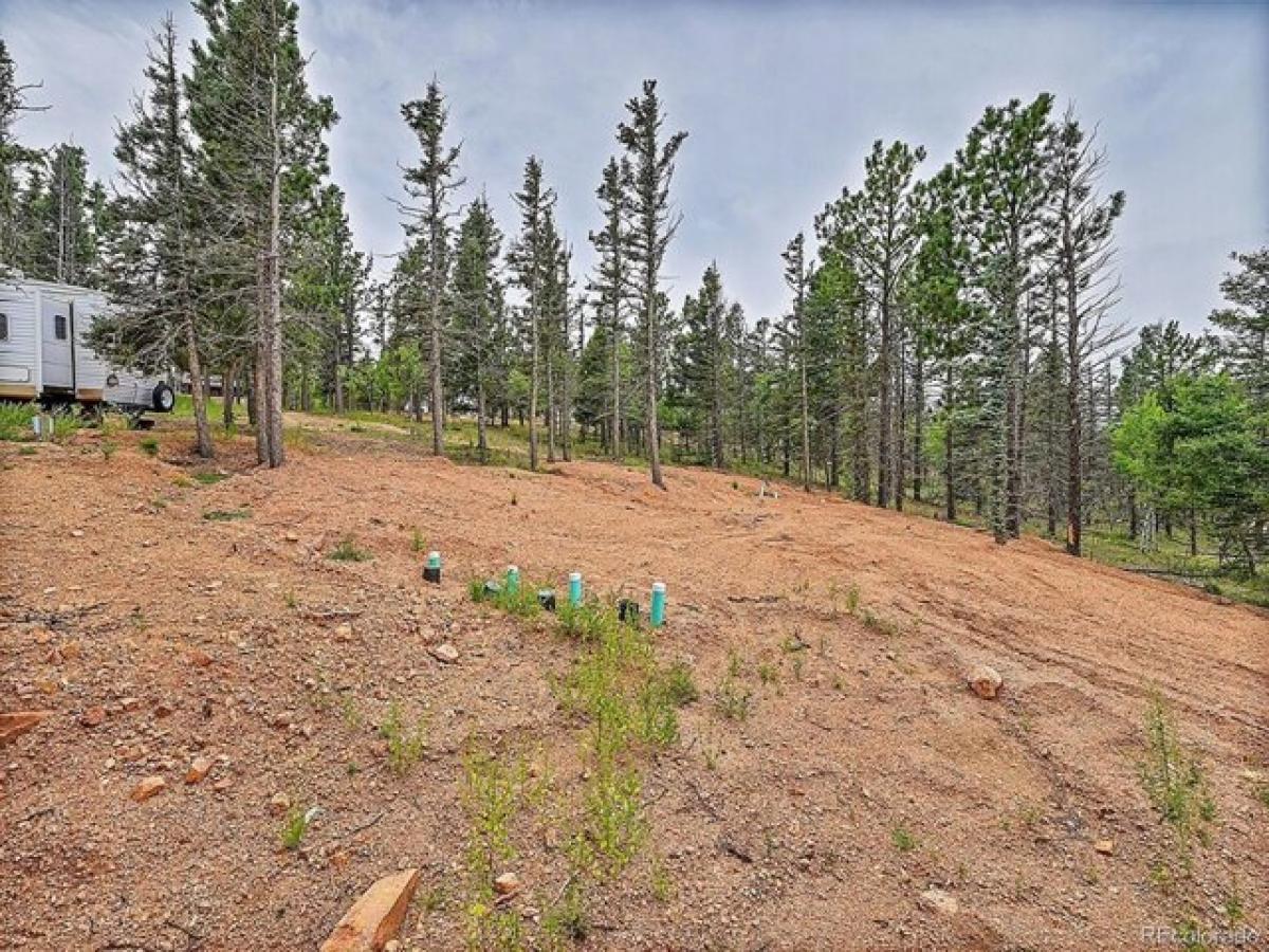 Picture of Residential Land For Sale in Divide, Colorado, United States