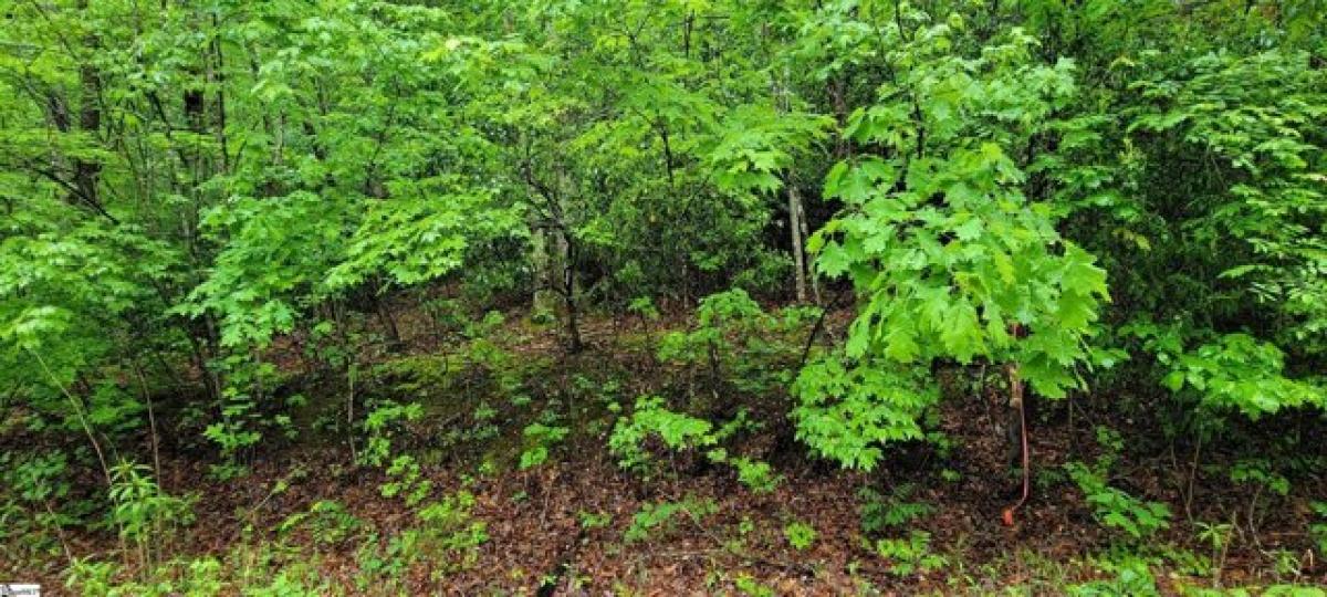 Picture of Residential Land For Sale in Landrum, South Carolina, United States