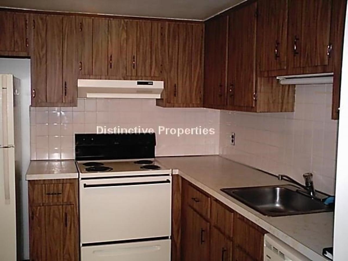 Picture of Apartment For Rent in Arlington, Massachusetts, United States