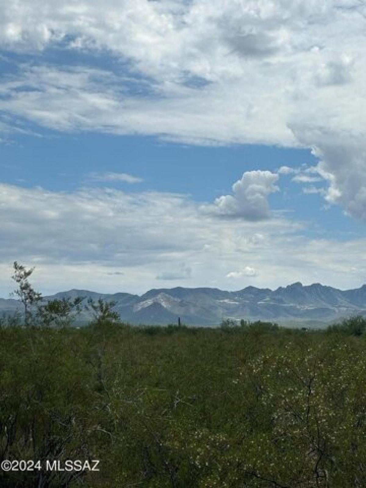 Picture of Residential Land For Sale in Sahuarita, Arizona, United States