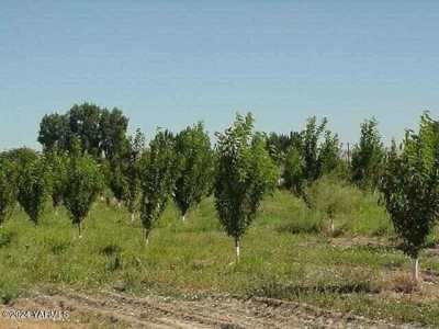 Residential Land For Sale in Outlook, Washington