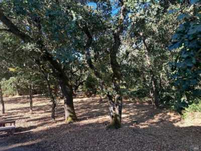 Home For Sale in Sonoma, California