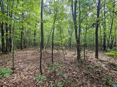 Residential Land For Sale in Gladstone, Virginia