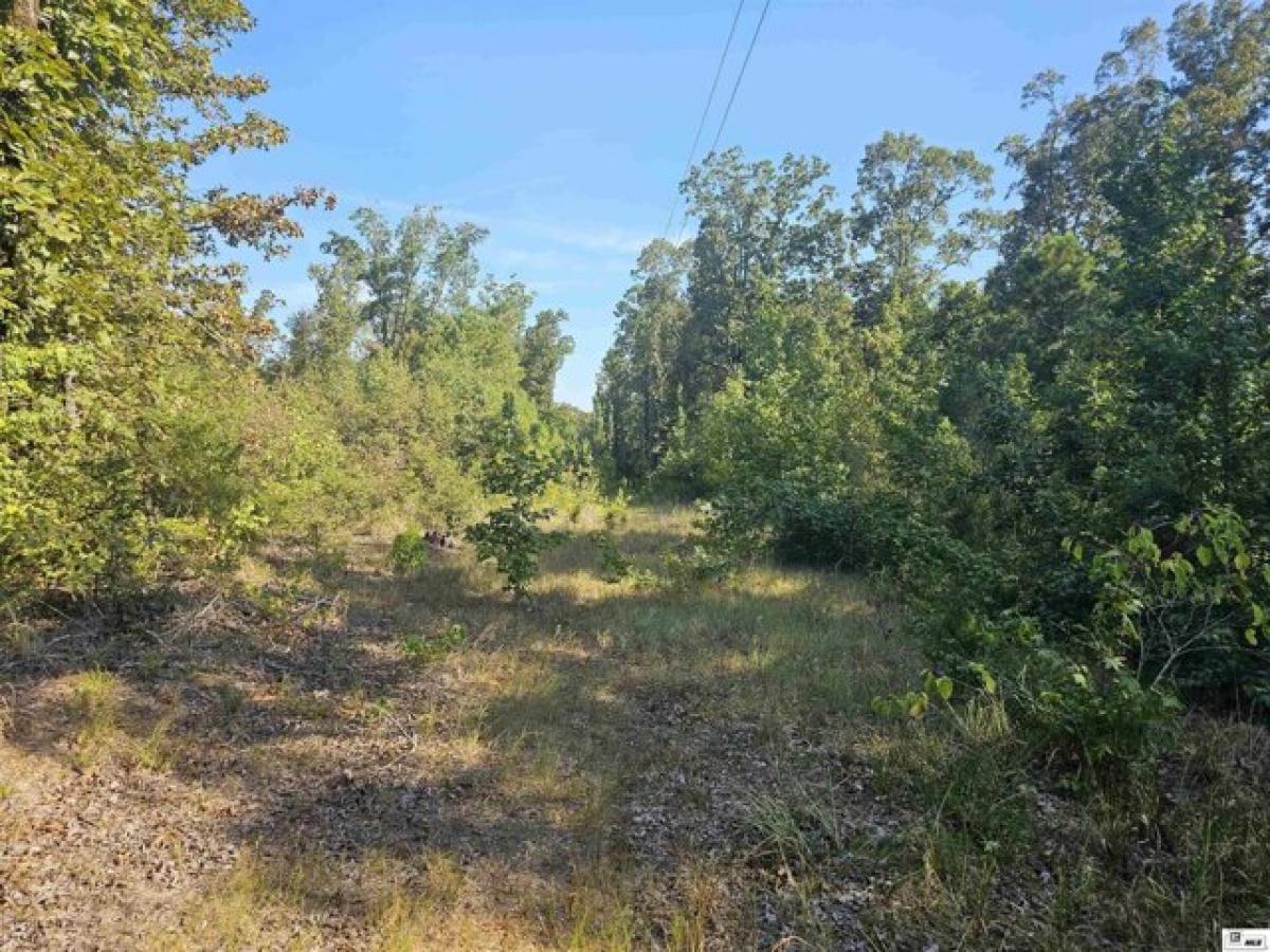 Picture of Residential Land For Sale in Bernice, Louisiana, United States