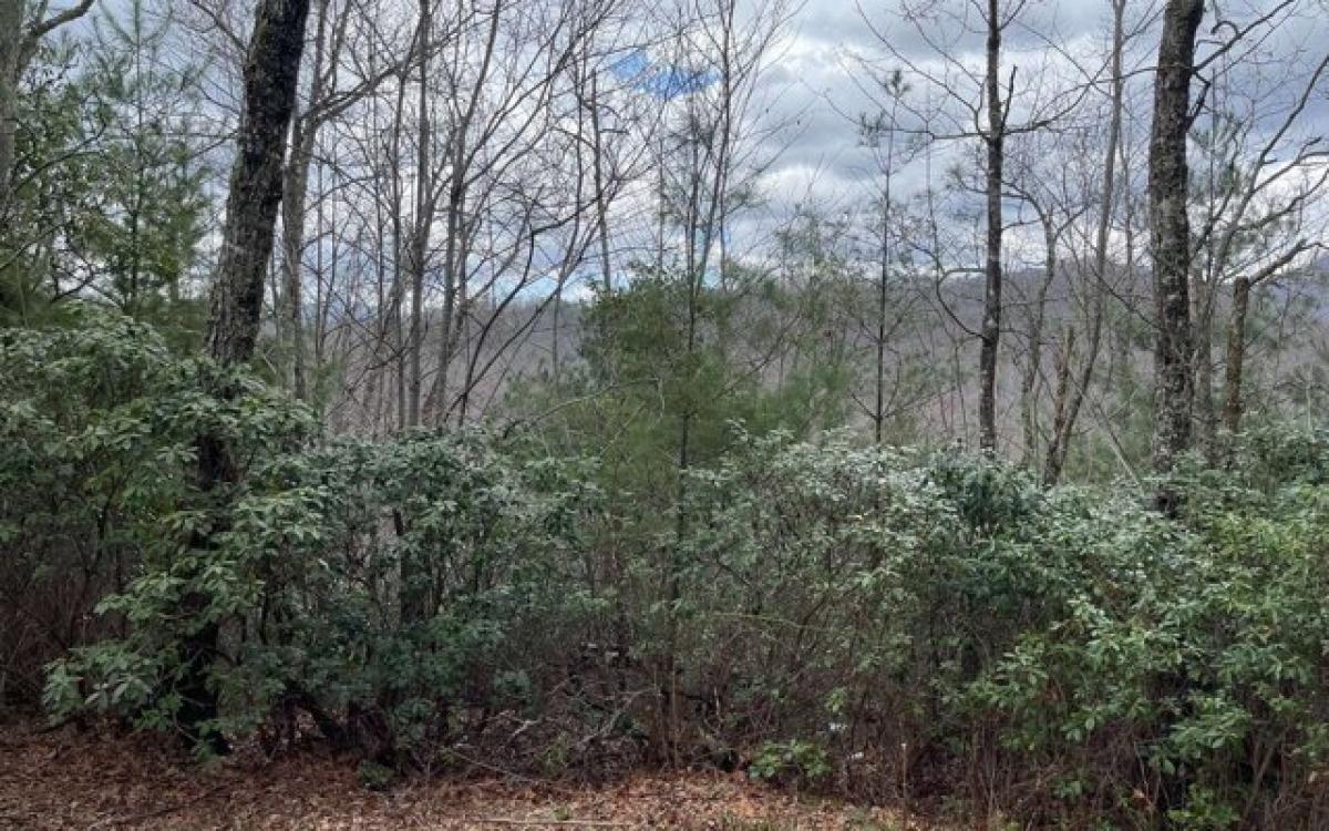 Picture of Residential Land For Sale in Hayesville, North Carolina, United States