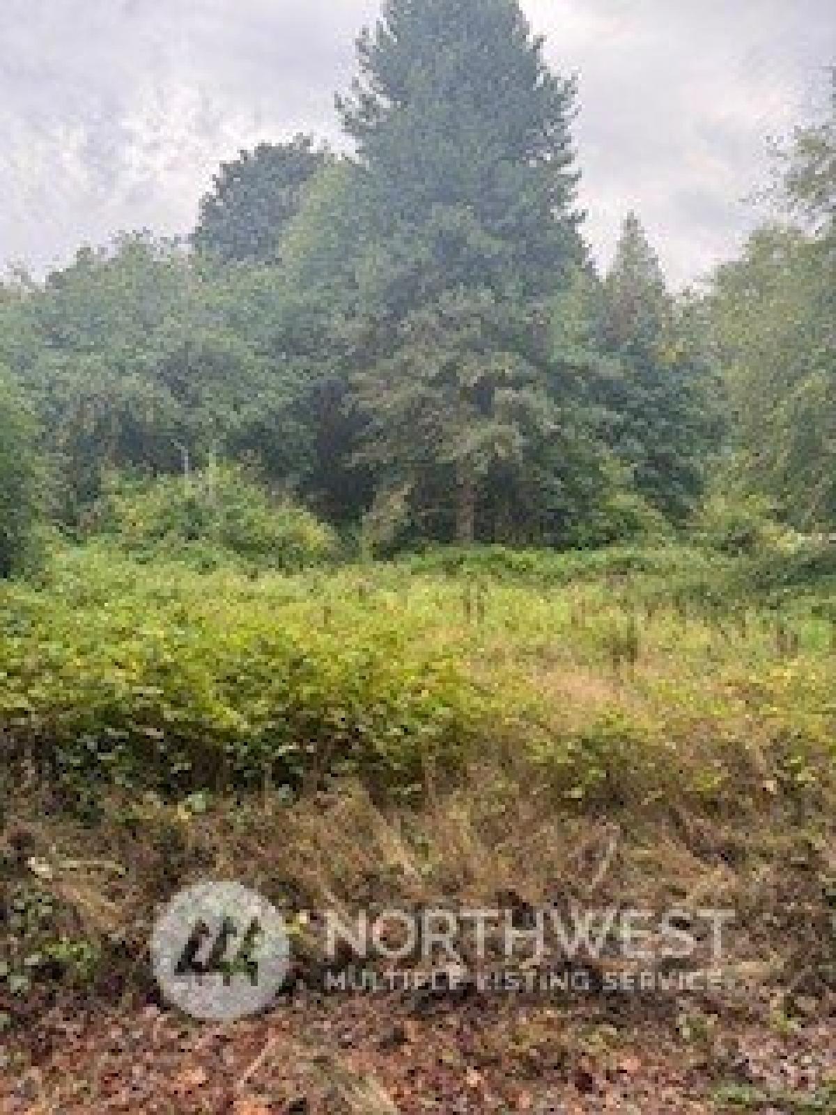 Picture of Residential Land For Sale in Port Orchard, Washington, United States