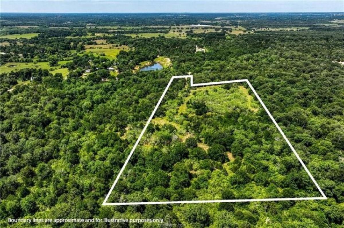 Picture of Residential Land For Sale in Caldwell, Texas, United States