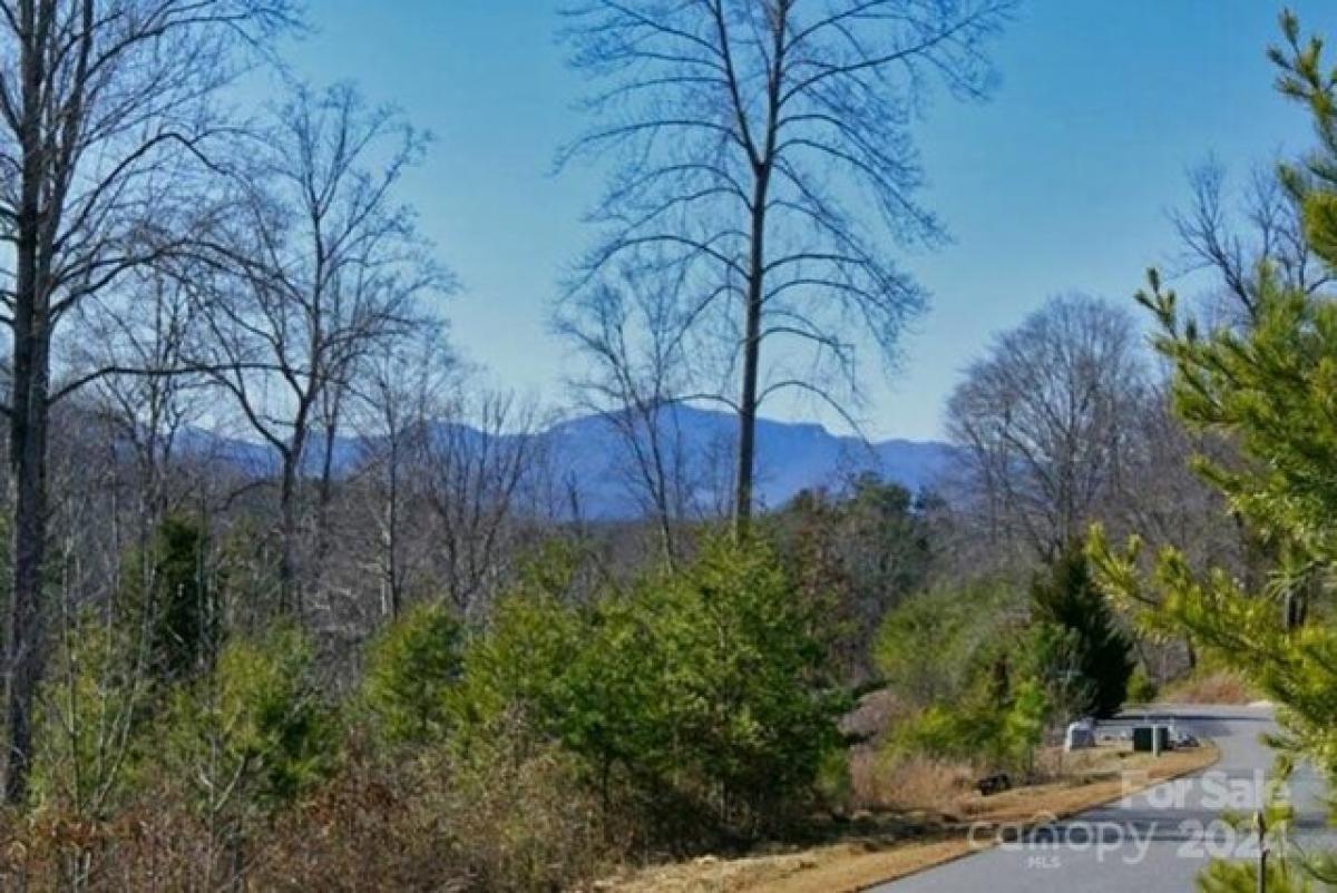 Picture of Residential Land For Sale in Rutherfordton, North Carolina, United States