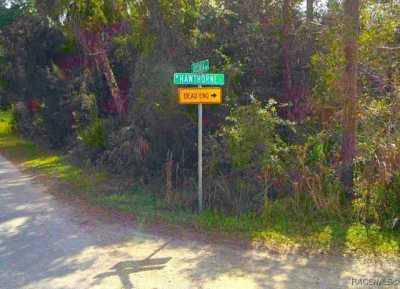 Residential Land For Sale in Homosassa, Florida