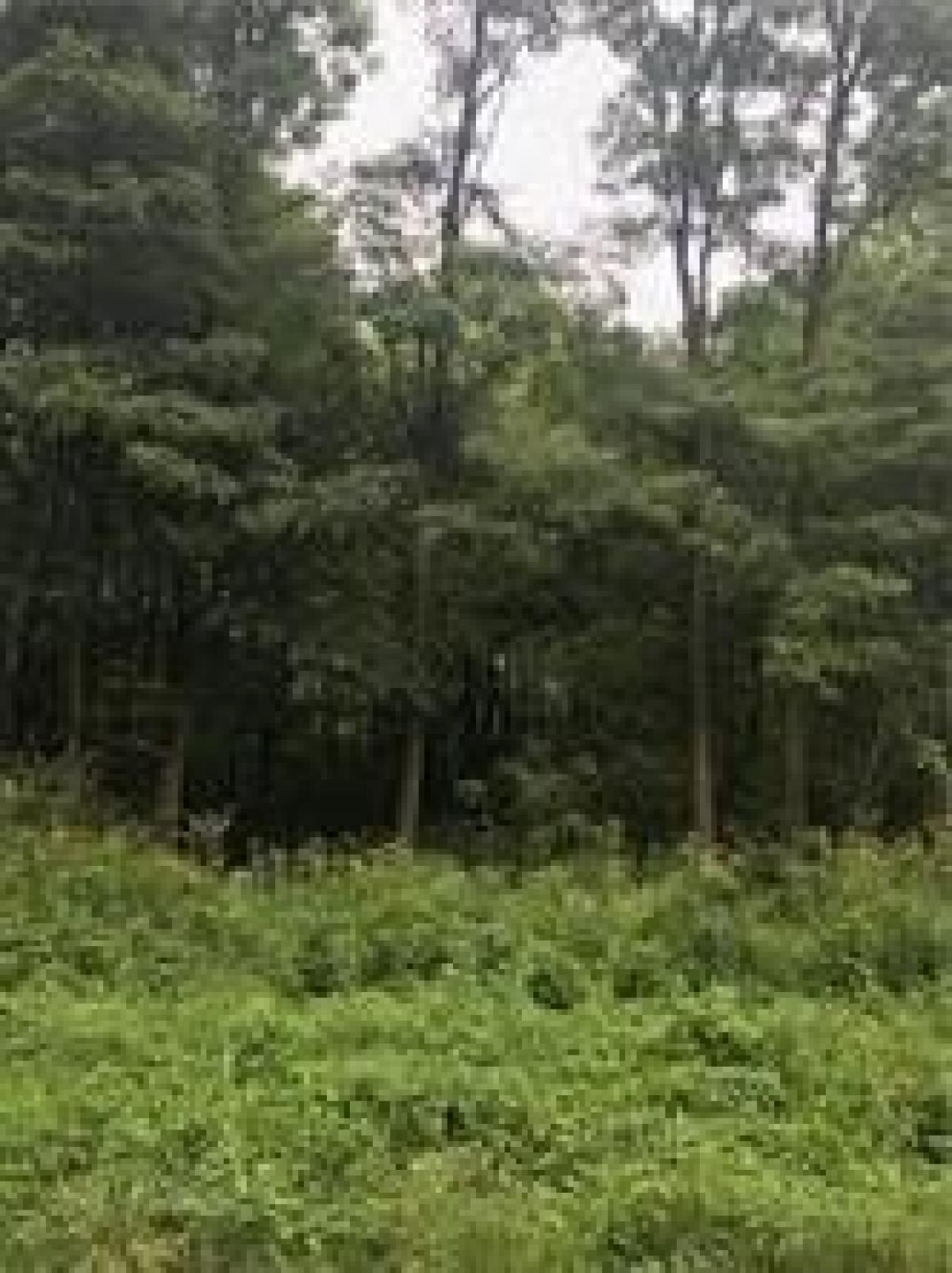 Picture of Residential Land For Sale in Jamestown, Pennsylvania, United States