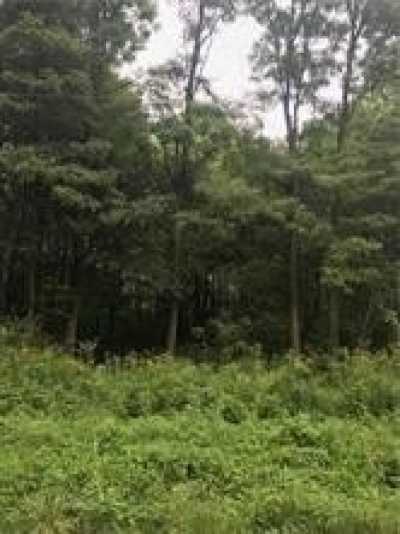 Residential Land For Sale in Jamestown, Pennsylvania