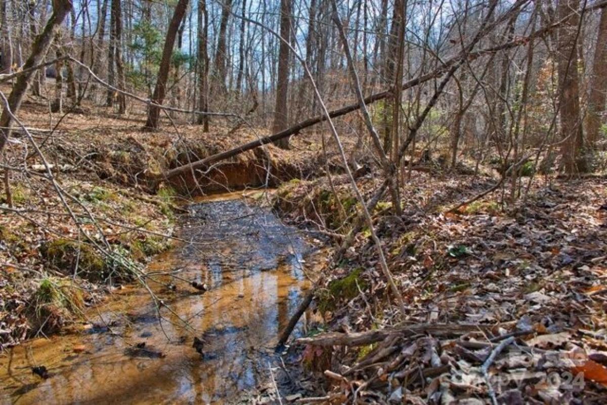 Picture of Residential Land For Sale in Rutherfordton, North Carolina, United States